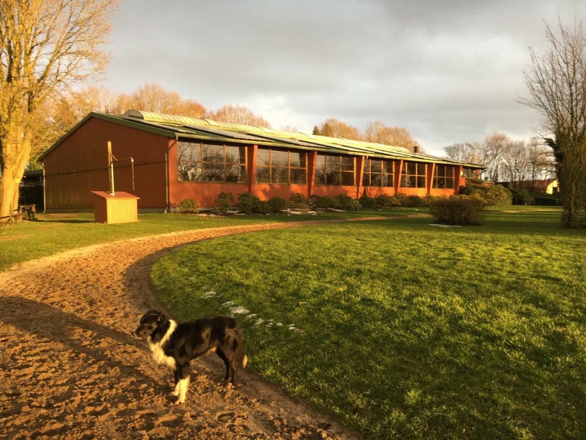 Huck'S Ferienhaeuser Borstel  エクステリア 写真